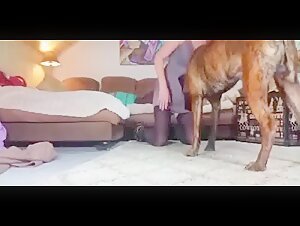 Amateur Dog Sex Video