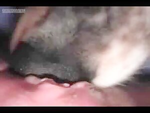 A video of extreme and forbidden zoophilia