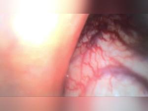 Delices Salvages: When Passion Transcends Limits