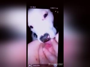 Delectable Canine Pleasure