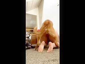 Video amateur de sexo con un perro: una exploracion de los tabues