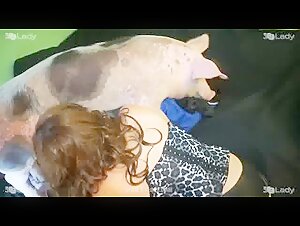 Bestiality Video: An Extreme Experience