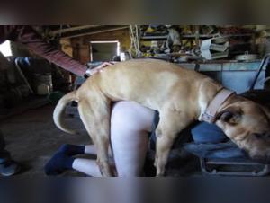 Sensory Bestiality: When desire meets wild animality