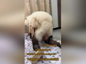 The Slut and Her Dog: A Sensual Power Play