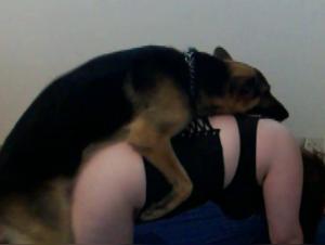 Fetish Exploration: Canine Domination without Limits