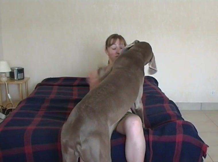 Salope Violée, Double Penetration Canine Extreme