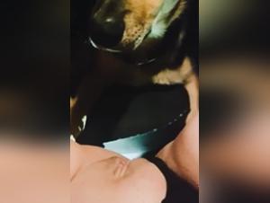 Hardcore bestiality: dog and woman merge