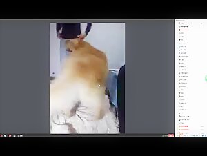 Extreme zoophilia videos: a woman and her dog
