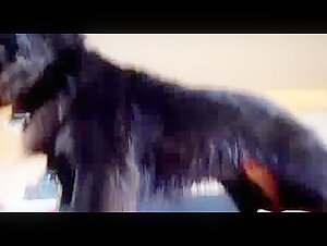Bestiality sex video with a woman and a dog