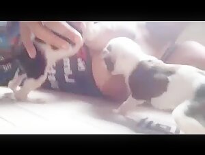 Shocking and exciting bestiality video