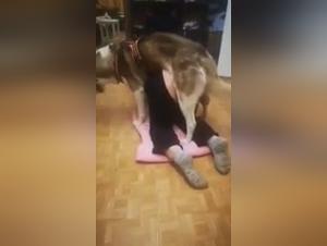 Adoracion de perros: una mujer dedicada a follar con animales
