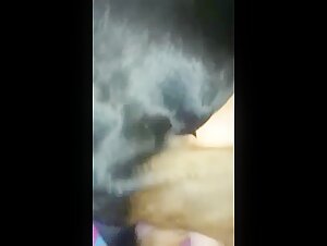 Bestiality Sex Video: An Exciting Encounter