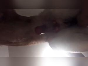 Sensual Intoxication: Exploring the Frontiers of Desire