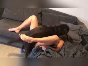 Animal enjoyment and female submission