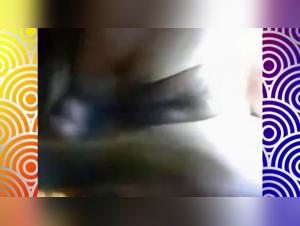 Hardcore Creampie: Cat Fucks Big Pussy