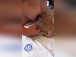 Animal Sexploitation: Inhumane and Brutal Nursing