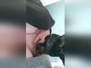 Bestiale passion, canine slavery and wild enjoyment