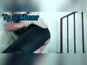 Dog Poisoning: A Slut and Her Forbidden Desire