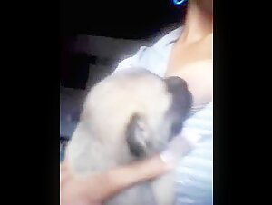 A forbidden and intense encounter with a dog
