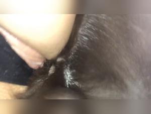 feline power, wild sex with Veronica and her dog