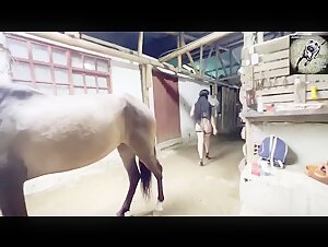 Video of Extreme Zoophilia with Horse