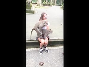 Limits pushed in shocking zoophilia video