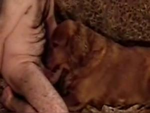 Taboo Delights: When Desire Meets the Animal