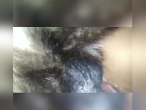 Submission to the beast, forbidden pleasure