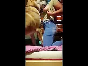 Bestiality Sex Video: Woman and Dog