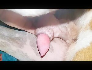 Extreme Sex Video: Lucky Boy and his New Friend