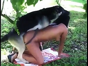 Unforgettable Moments: A slut gives herself up to a dog in the undergrowth.