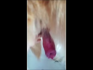 Erotic Animal Porn: Intense Bestial Fuck
