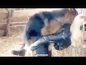 Bestiality and zoophilia with Yasimin and his dog