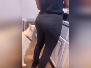 Febrile domination: dog, ASS and debauchery