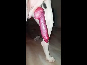 Bestiality Cum in its purest state