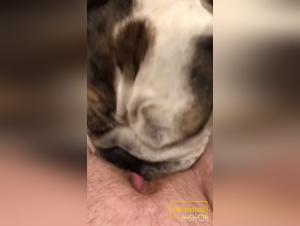 Slave to Taste and Smell: Explore the Full Animal Pleasure