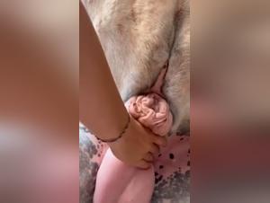 Crazy amateur, uncontrollable animal desire