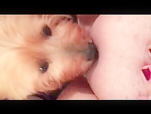 Watch this Slut Get Fucked by a Dog