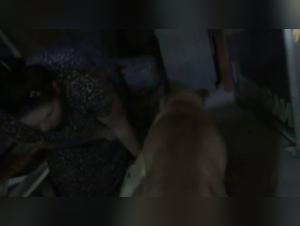 Wild Fuck: Animality Unleashed