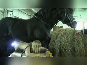 Dirty whore and its mount: uncontrollable impulses