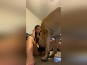 Animal Domination: Incredible Delights to Discover