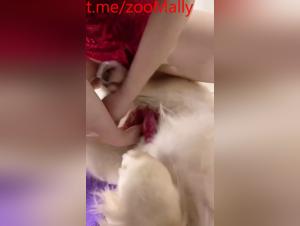 Canine fuck, Asian couple, prohibited porn