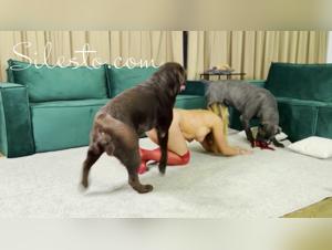 Blonde und Hund in einem Wirbelwind aus Fleisch und Blut