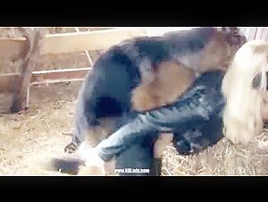 Intense moments of fun with animals