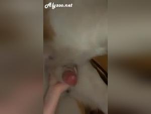 feverish libertinism: suck, dominate, satisfy the animal