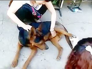 Extremes Hundesexvideo