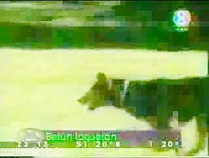 Bestial encounter: the woman and the dog in a sex video