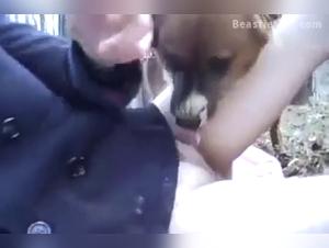 K9 cum, wild and irresistible delights
