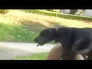 Sex with a dog: a forbidden love story