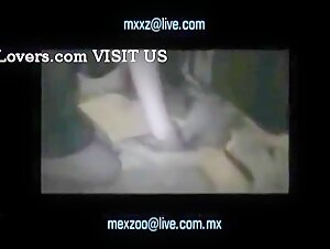 Hard zoophilia videos: women and dogs in intense moments